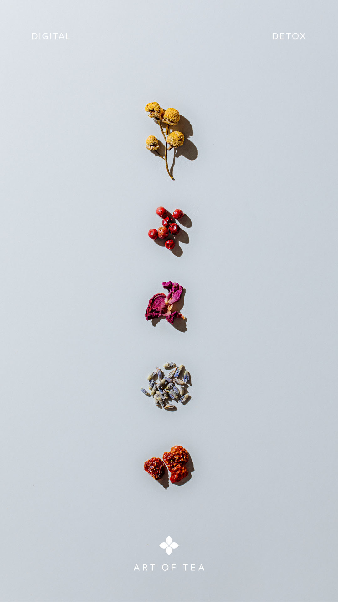 8 Minute Digital Detox with Tea Detox Guide Art of Tea